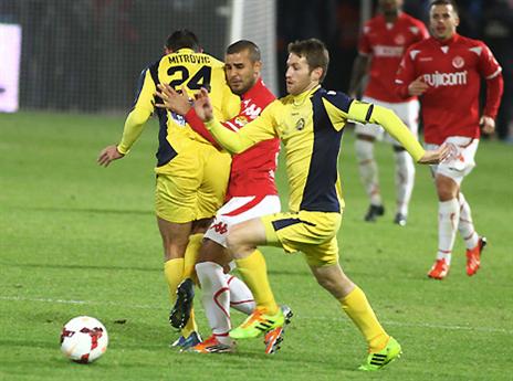 ייני, בא לעבוד (צילום: אלן שיבר)