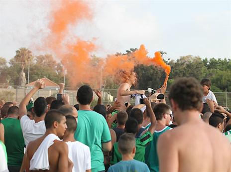 אבוקות ורימונים (צילום: יוסי שקל)