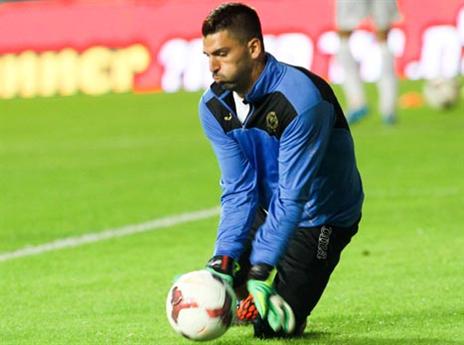 לא הולך לשום מקום. הרוש (צילום: אלן שיבר)