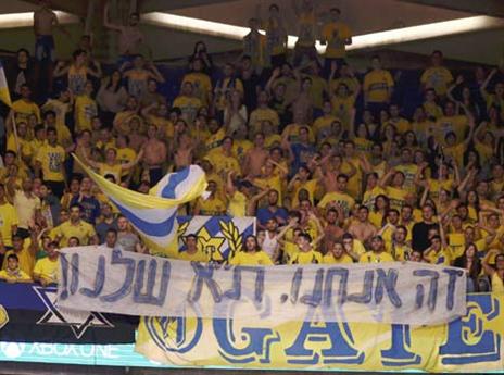 עדיין שולטים בתל אביב (אלן שיבר)