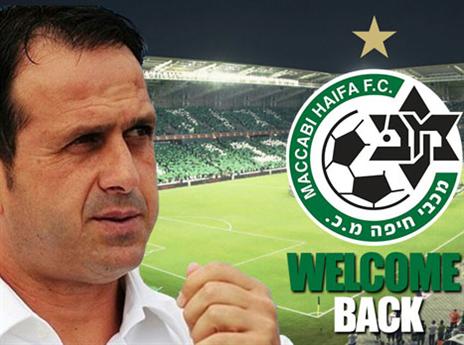 חוזר לחיפה. רוני לוי (גרפיקה: האתר הרשמי של מכבי חיפה)