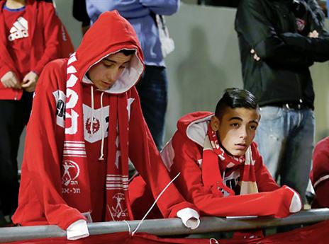 השנה נראה פרוצפים שמחים יותר? (אלן שיבר)