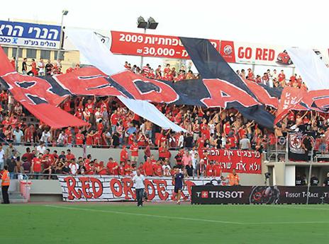 ציפיות גדולות (אלן שיבר)