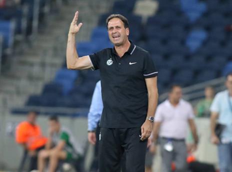 בודק עוד אופציות מלבד חביבו. לוי (צילום: יוסי שקל)