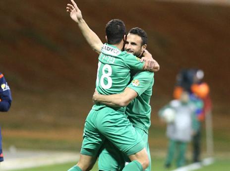 גם פדידה מצטרף (אלן שיבר)