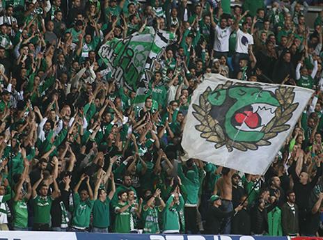 האוהדים הירוקים. איבדו את הסבלנות (אלן שיבר)