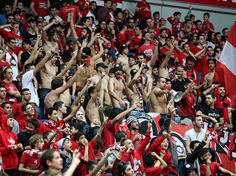 אווירה נהדרת בארנה (אלן שיבר)