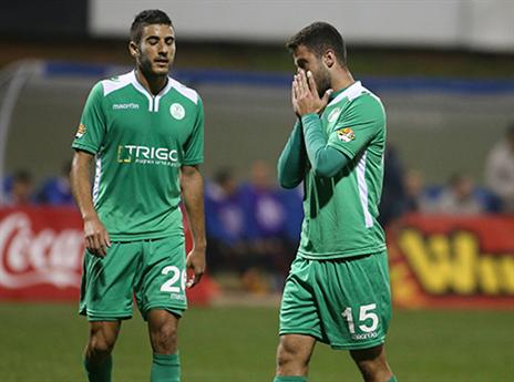 הירוקים יצאו מאוכזבים (אלן שיבר)