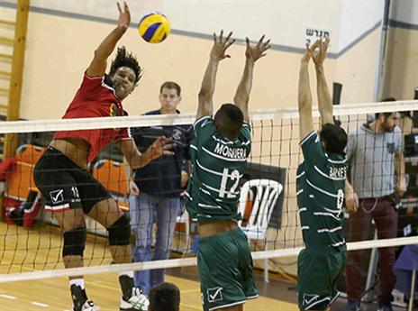 דוס סנטוס מנחית (אלן שיבר)