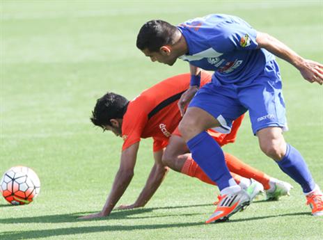 "יש אנרגיות טובות". רועי גורדנה (צילום: דני מרון)