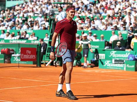 טייל כל הדרך לרבע הגמר. פדרר (getty)