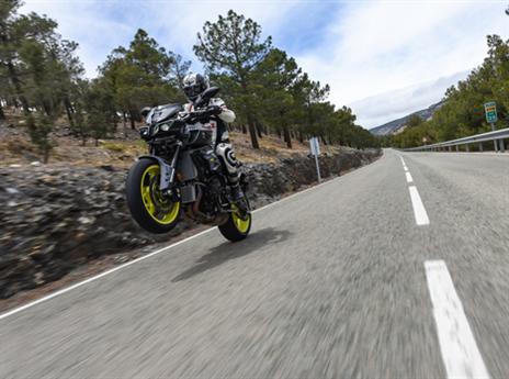 (צילום: יצרן)