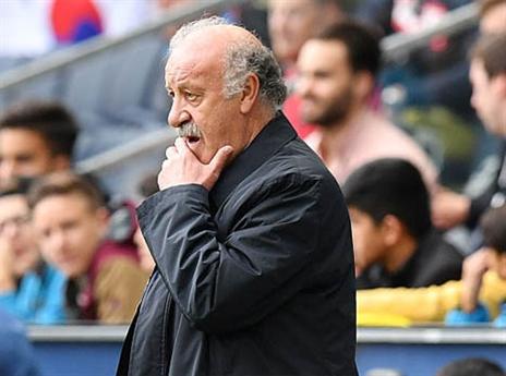 ניצחון לפני היורו. דל בוסקה (Getty)