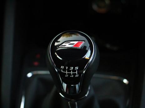 (צילום: אופיר דואק)