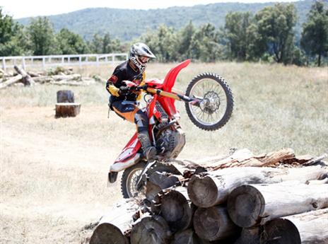 (צילום: יצרן)