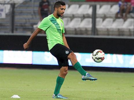 גוזלן. מבוקש בסכנין (דני מרון)