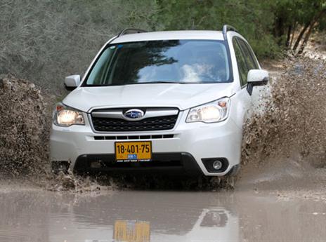 מכשול בדרך? לחצו על הדוושה (רונן טופלברג)