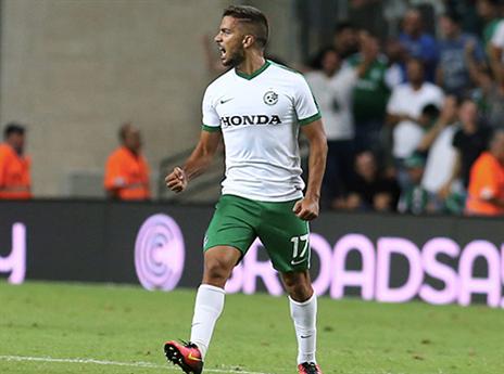 גוזלן. הציל נקודה לחיפה (אלן שיבר)