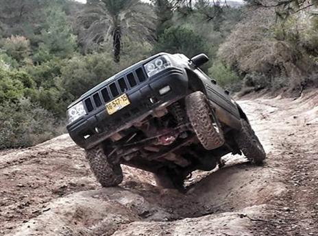 (צילום: אופיר הראל)