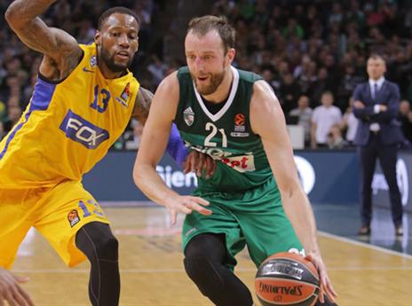 ז'לגיריס לא יריבה ממשית (getty)