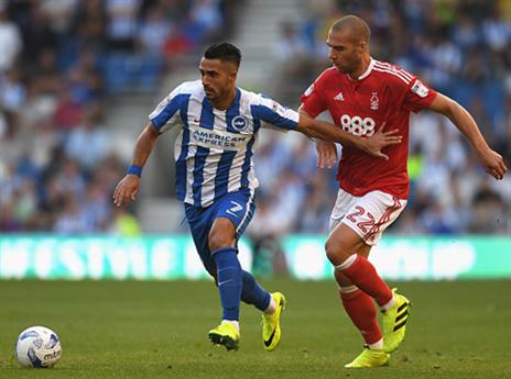 זוכה להערכה אצל השחפים (getty)