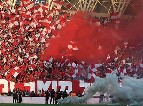 הקהל האדום בטירוף (אלן שיבר)