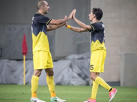 הפנים לגומלין (ספי מגריזו)