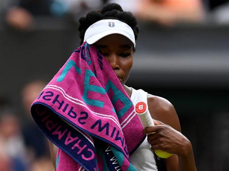 לא הופיעה. ונוס (getty)