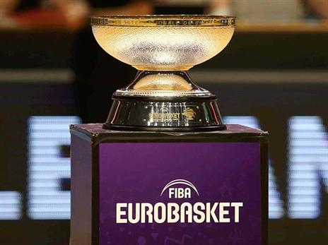 חולמים על התואר (אלן שיבר)