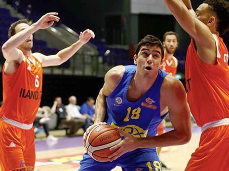 גם שגב השתלב (אלן שיבר)