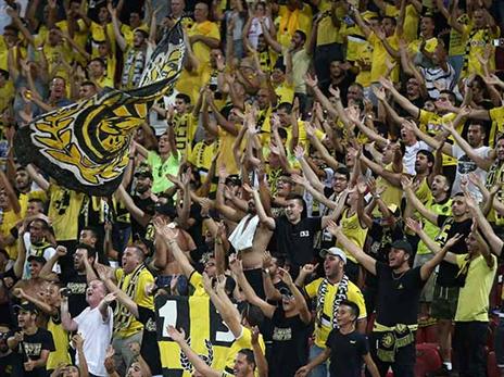 ליהלומים קשה בלי האוהדים (אלן שיבר)