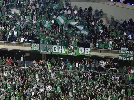 רוצים ניצחון בכל מחיר. אוהדי חיפה (אלן שיבר)