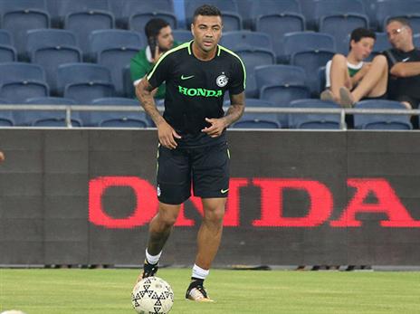 קאיו. ידרוש פיצוי (יוסי שקל)