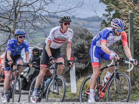 ניילנד בבריחה (נועה ארנון)