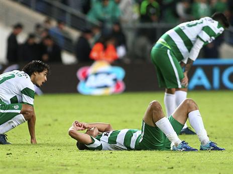 "לא מאמין בשינוי מאסיבי של 8 או 10 שחקנים" (צילום: אלן שיבר)