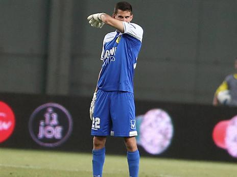 שושן. סופג ביקורת (אלן שיבר)