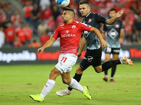 סבע מרגיש בבית (לירון מולדובן)