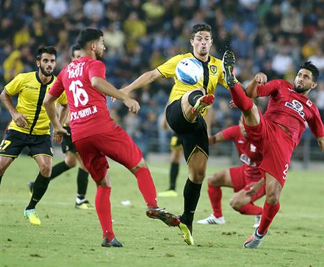 צפוי לשוב להרכב. קלטינס