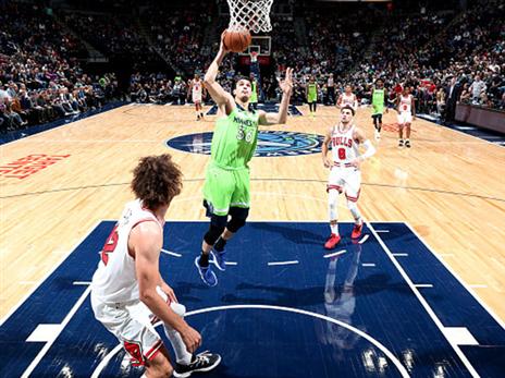 מינסוטה ניצחה למרות ערב קליעה משונה (צילום: David Sherman/NBAE via Getty Images)