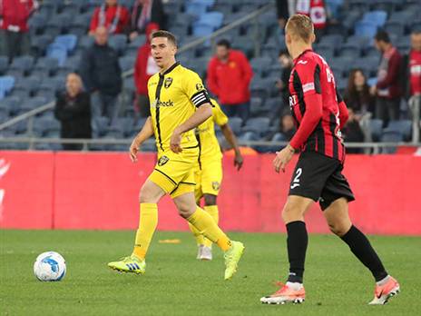 ורד. התאכזב שלא פתח (יוסי שקל)