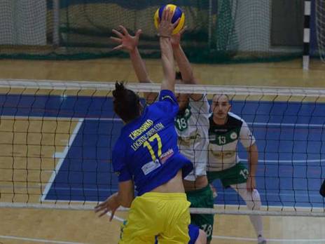 (צילום: רינת ורדי, מכבי ת"א)