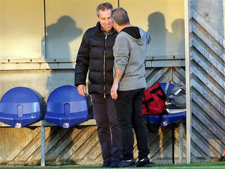 (אודי ציטיאט)