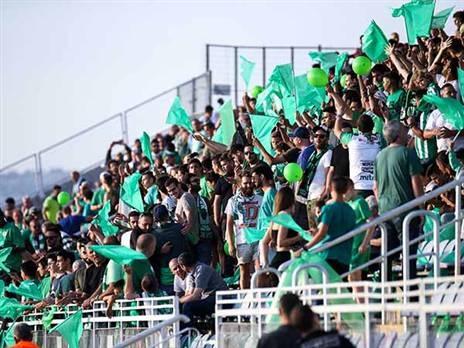 איזו עליה דרמטית (אנצ'ו גוש)