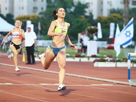 וייסמן. חסות חדשה (אלן שיבר)