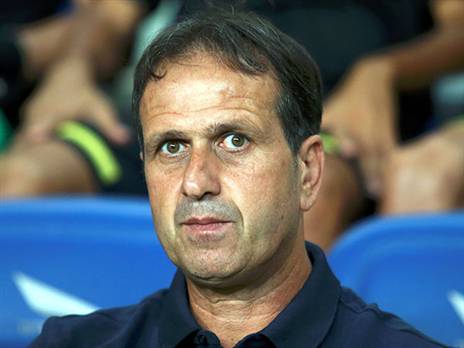 רוני לוי. רוצה להעמיק את הסגל (אלן שיבר)