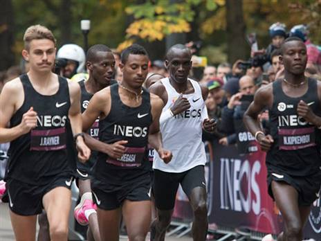 נהנה מהתנאים