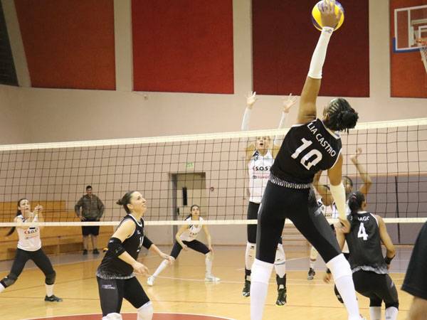 (איגוד הכדורעף)