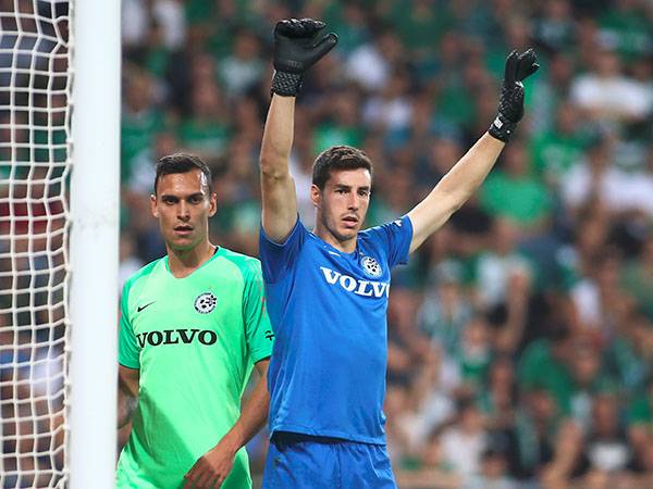 ישראל מזכירה לו את קליפורניה, כהן