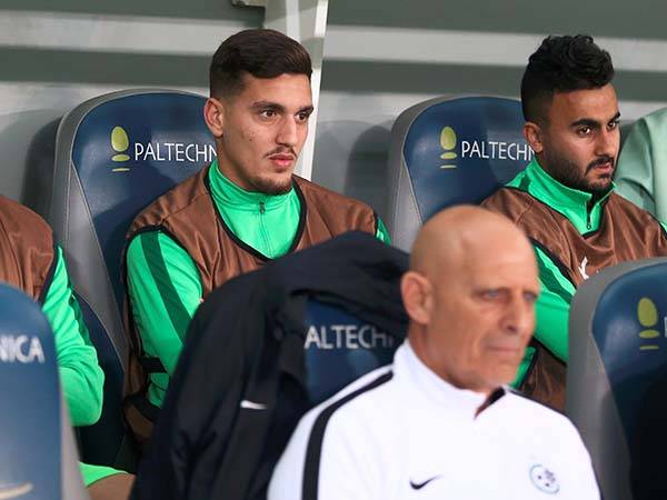 בלבול פיתח את הצעירים? (שיבר)