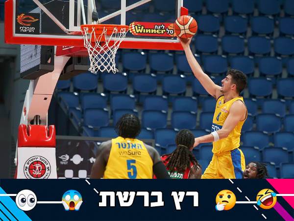 (אלן שיבר)